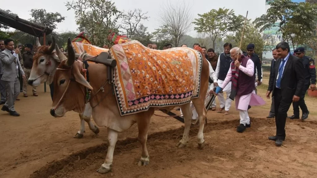 Pratapgarh Farms