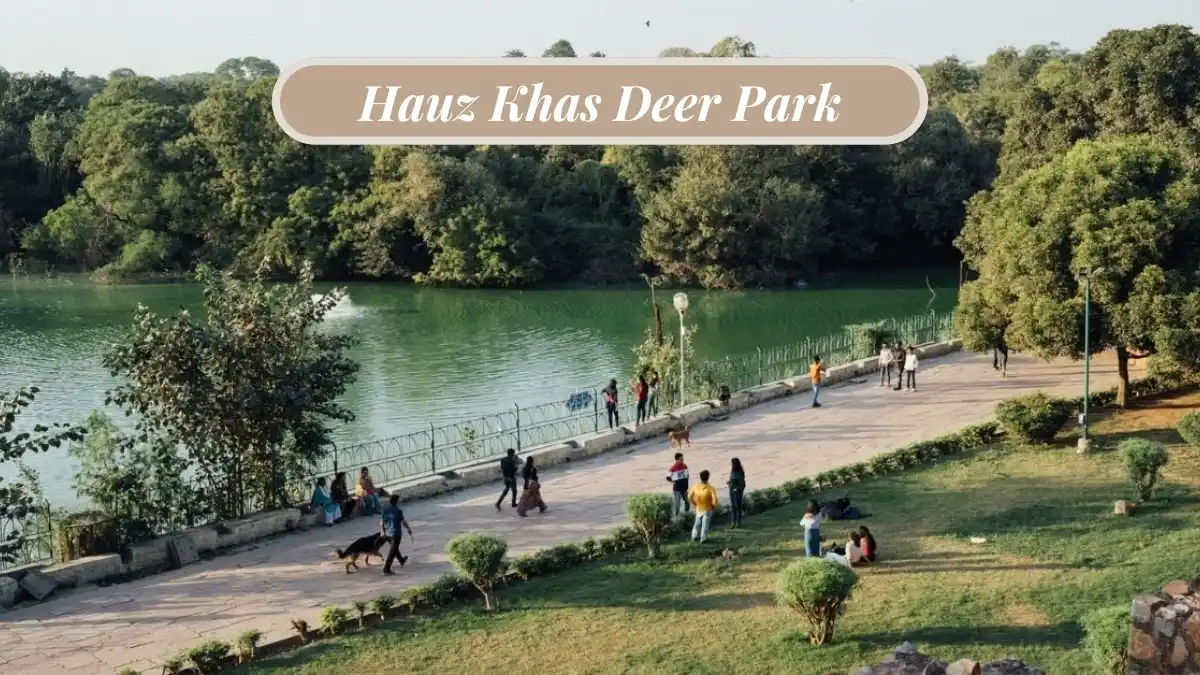 Hauz Khas Deer Park, Delhi