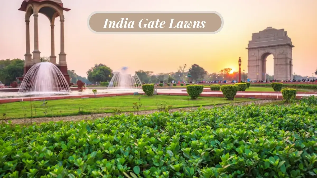 India Gate Lawns, Best family picnic spots in Delhi 