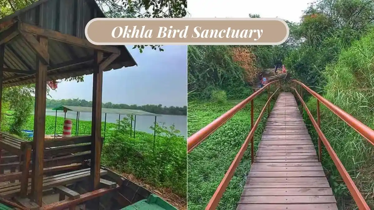 Okhla Bird Sanctuary