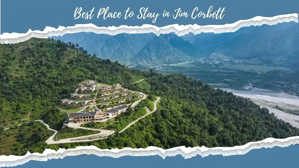 Best Place to Stay in Jim Corbett 