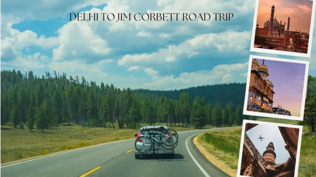 Delhi to Jim Corbett Road Trip