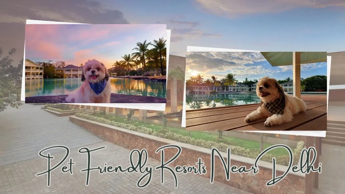 Pet-Friendly Resorts Near Delhi