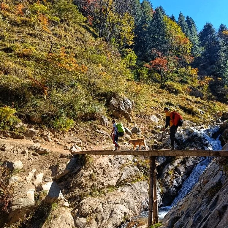 Kheerganga Trek