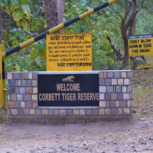 Delhi to Jim Corbett National Park