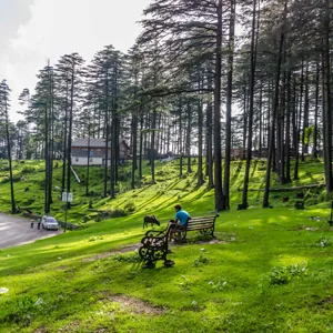 Jammu to Patnitop