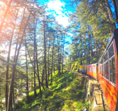 Shimla Sightseeing