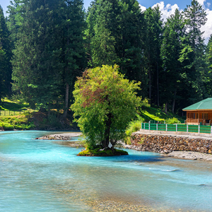 Gulmarg to Pahalgam