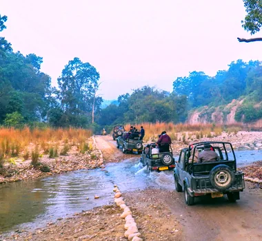 Delhi to Jim Corbett